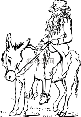 動(dòng)物,驢,哺乳動(dòng)物
