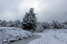 冬天,雪,冷
