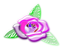 玫瑰,花,顏色
