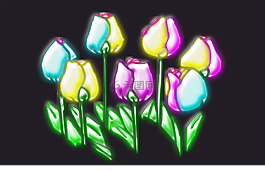 玫瑰,花,顏色