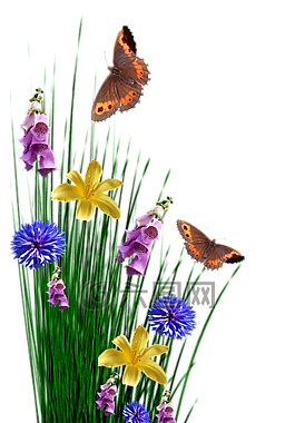 春,鮮花,草
