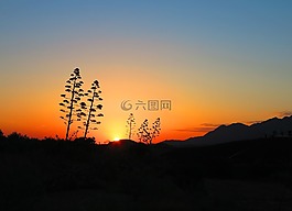 日出,西班牙,天空
