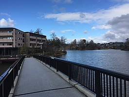 橋,湖,天空