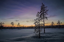 温特斯,景观,雪