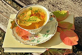 t恤,茶杯,秋季