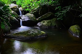 水流,巖石,綠葉