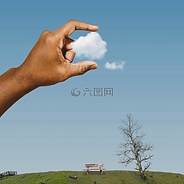 云,天空,樹