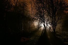 夜,光,爬行