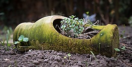 花瓶,老,花園