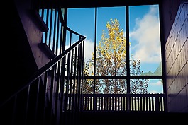 丟失的地方,工廠,老