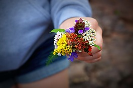青少年,鮮花,年輕