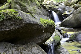 過獨(dú)身生活,性質(zhì),奧地利