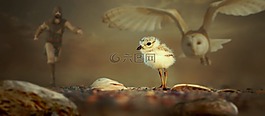 幻想,動物,小雞
