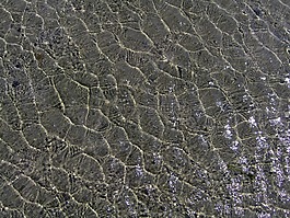 水,波,海底