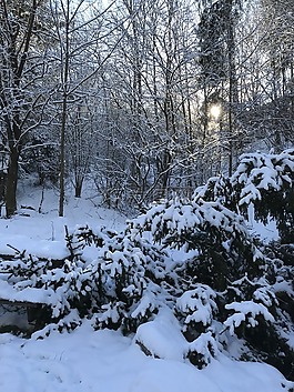 雪,冬天,冷