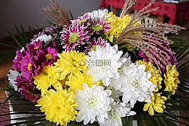 美丽,快乐,花卉