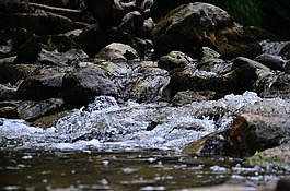水,過(guò)獨(dú)身生活,性質(zhì)