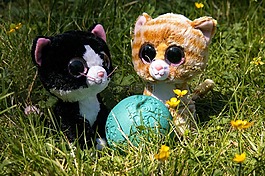glubschis,毛絨動物,毛絨玩具