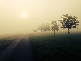 霧,太陽,景觀