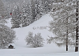 景观,雪,温特斯