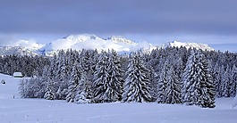 景观,雪,温特斯