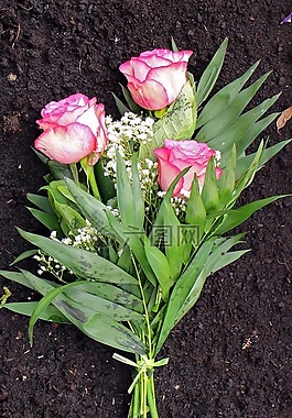 玫瑰,花束,插花