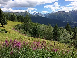 高山,性質(zhì),景觀