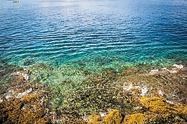 海,視圖,巖