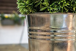 花盆,花園,園林植物