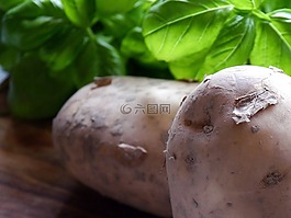 土豆,蔬菜,食品