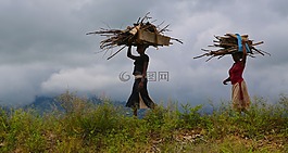 婦女,木,女人