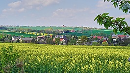 würchwitz,性質(zhì),視圖