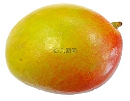水果,芒果,食品