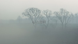 霧,陰霾,景觀