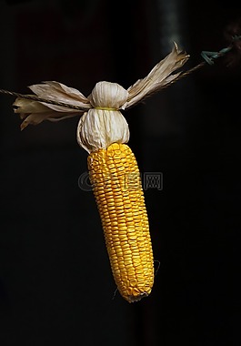 玉米,谷物,食品