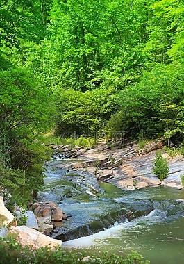 河,格魯吉亞,托科阿