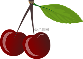 大括号,樱桃,食品