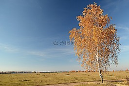 性質(zhì),景觀,國家