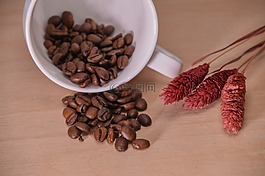 杯,粒咖啡,咖啡