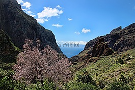 特內里費,馬斯卡,峽谷