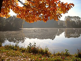 性質,秋季,景觀
