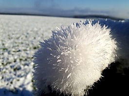 冰花,雪,冰