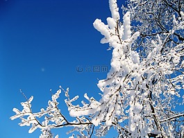 俄羅斯的冬天,美容,性質
