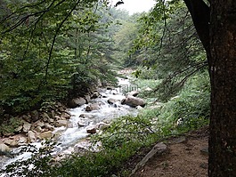大自然,谷,聞 saejae