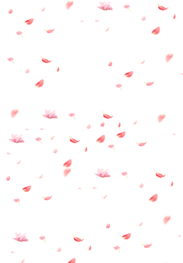 漂浮花瓣
