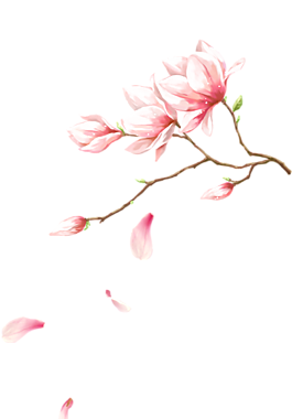 创意水彩手绘粉红色的桃花