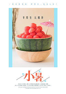 精美時(shí)尚小暑節(jié)氣海報(bào)