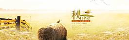 秋季促銷banner