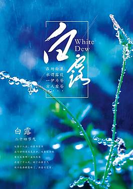 藍色白露海報