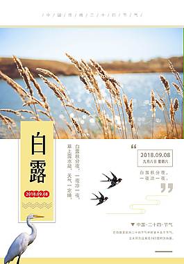 創意白露海報